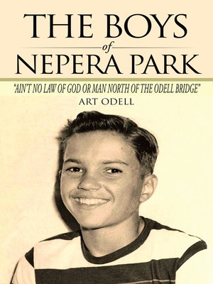 cover image of The Boys Of Nepera Park